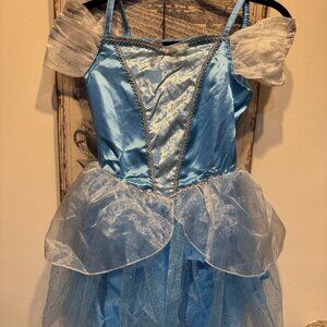Cinderella Costume--NWOT